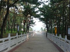 -林海公园
