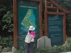 导览图-南宁良凤江国家森林公园