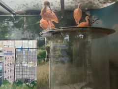 -洛阳龙门海洋馆