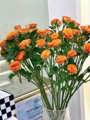 -MIDA蜜哒•科技逆龄美肤连锁