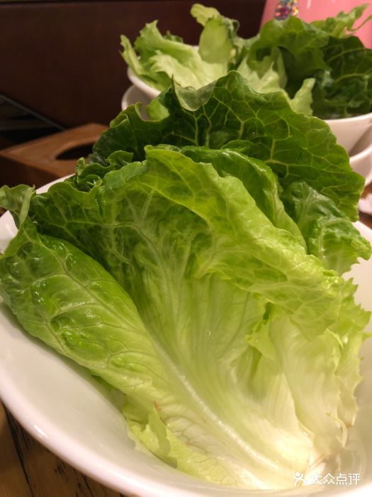 火焱火炭火烤肉生菜图片 - 第1张