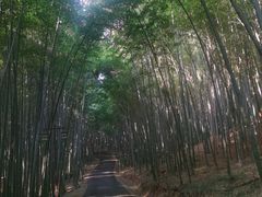 -苏州环秀晓筑养生度假村