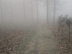 -淇河金沙滩