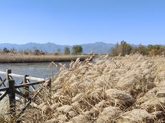 -野鸭湖国家湿地公园