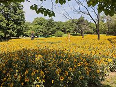 -沈阳植物园