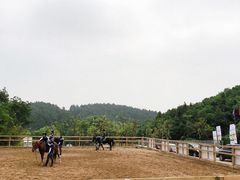 -枫露马术学院(藏书校区)