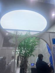 -DK SALON连锁专业烫染接发店