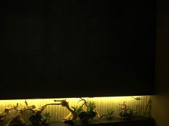 -大桶大足浴(广灵店)