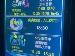 -泉城欧乐堡海洋极地世界