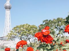 -文华公园(禅城区)