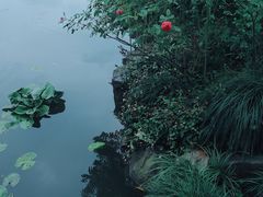 -西湖游船