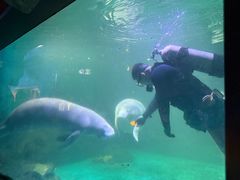 -烟台海昌鲸鲨海洋公园