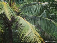 -白沙门生态公园