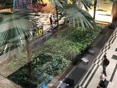 -Bengawan Solo(Changi Airport Terminal 2)