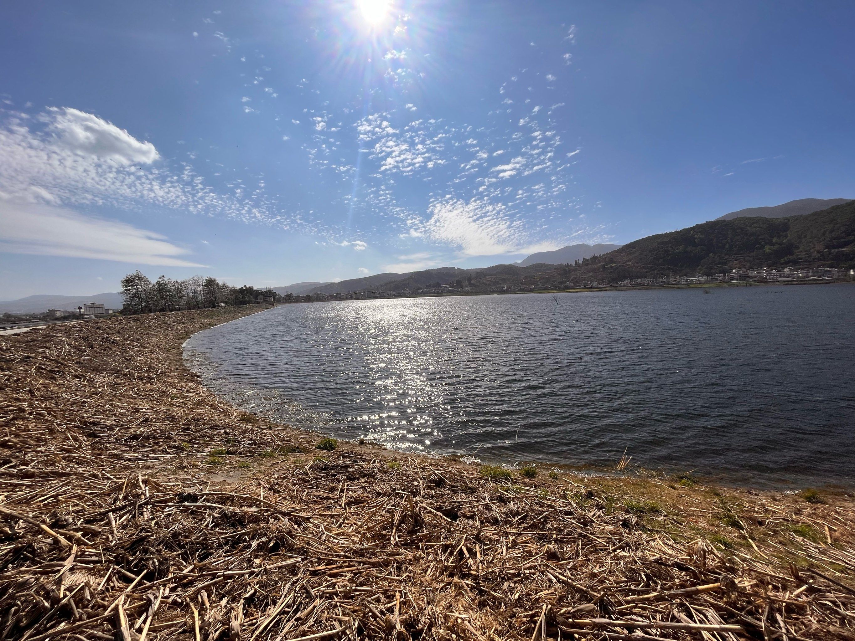 湖边的宁静时光