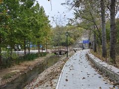 -白水寺森林公园