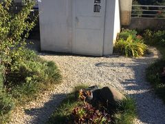-唐咖精品咖啡(大理古城手冲店)
