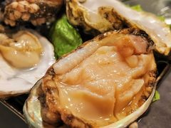 活鲍鱼-金龙·打边炉(南京西路店)
