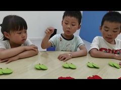 -金色雨林·专注力情商思维感统(海岸城八方汇中心)