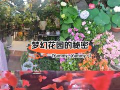 -溪岸路花鸟市场