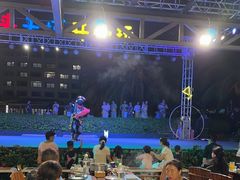 -渔家火锅·海鲜自助餐·演艺(亚龙湾天域酒店)