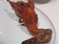 首创昆明BB乳鸭-东富酒家(龙湖西溪天街店)