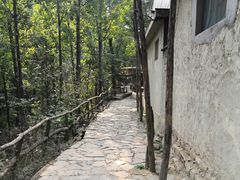-井塘古村