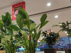 -大清花饺子(山庄店)