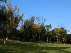 -常德桃花源景区