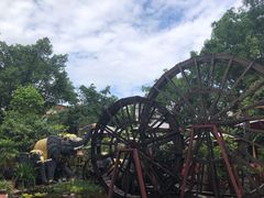 -品德宏·孔雀宴的发源地(金塔园店)