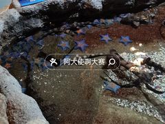 -大连圣亚海洋世界