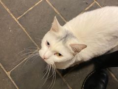 -张记牛肉面馆(天津路店)