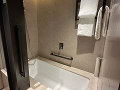 -新加坡瑞士史丹福酒店