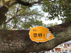 -川沙古镇-停车场