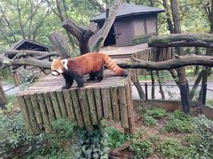 -云南野生动物园