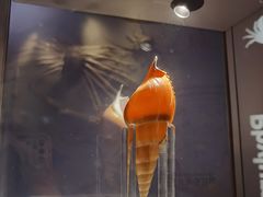 -中国湿地博物馆
