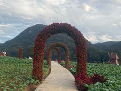 -广州市石门国家森林公园