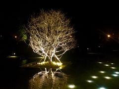 都喜泰丽温泉度假酒店-广州都喜泰丽温泉度假酒店