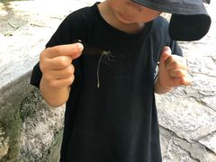 -碓臼峪自然风景区