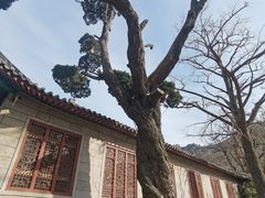 -青岛崂山太清宫