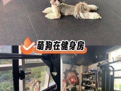 -UP健身私教馆(南山书城店)