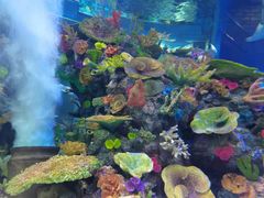 -成都浩海立方海洋公园