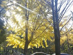 -清华大学-观畴园餐厅