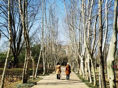 -洛阳市隋唐城遗址植物园