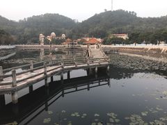 -红山村