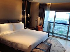 -新加坡瑞士史丹福酒店