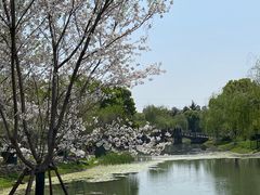 -堤角公园