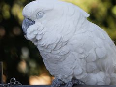 -云南野生动物园