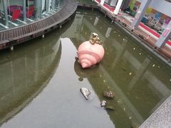 -苏州市姑苏区少年宫(沧浪分部)