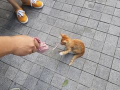 -小海豚国际游泳培训中心(浦东塘桥店)